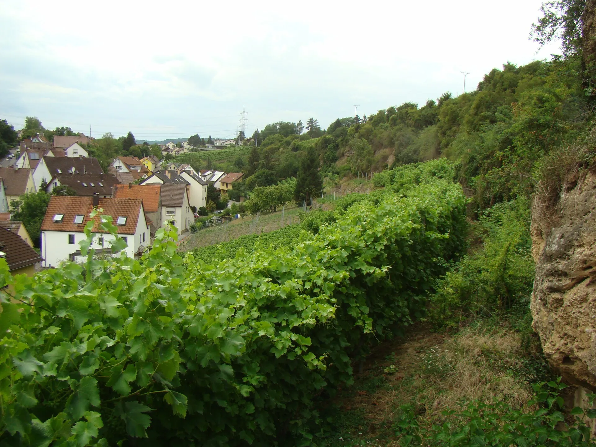 Klingenberg, Stadtteil von Heilbronn — repräsentative Aufnahme der Region.